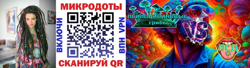 Галлюциногенные грибы Psilocybe  где продают   Белоозёрский 